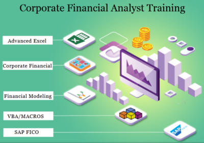 Screenshot-Finanacial-Analyst-Delhi-1